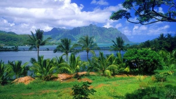 Saputara Vansda National Park Landscape Image